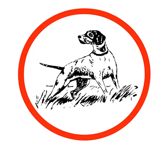 My Website